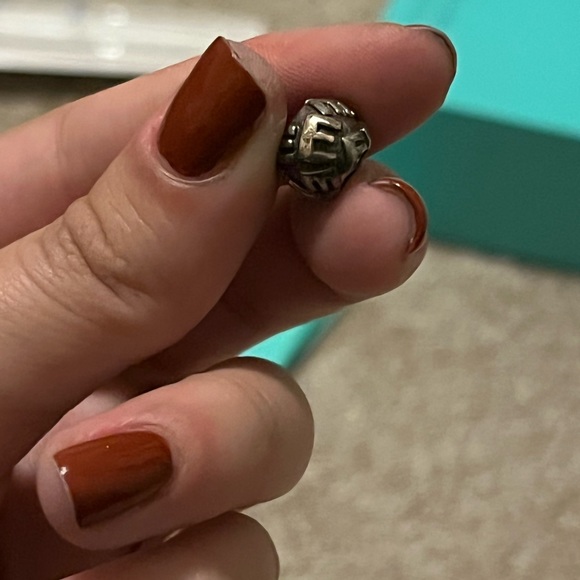 Pandora Charm Lot (8 Charms) - Picture 7 of 12